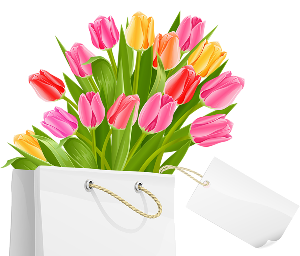 a gift bag with tulips